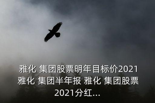  雅化 集團(tuán)股票明年目標(biāo)價(jià)2021 雅化 集團(tuán)半年報(bào) 雅化 集團(tuán)股票2021分紅...