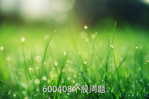 600408個股問題