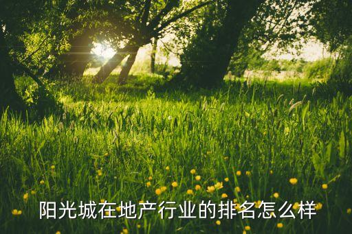  陽光城在地產(chǎn)行業(yè)的排名怎么樣