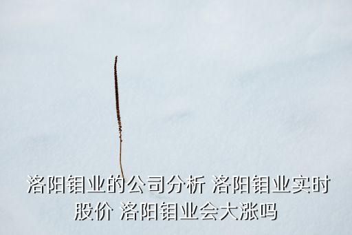  洛陽(yáng)鉬業(yè)的公司分析 洛陽(yáng)鉬業(yè)實(shí)時(shí)股價(jià) 洛陽(yáng)鉬業(yè)會(huì)大漲嗎