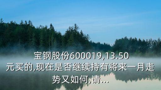  寶鋼股份600019,13.50元買的,現(xiàn)在是否繼續(xù)持有將來一月走勢又如何,請(qǐng)...