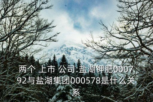 兩個(gè) 上市 公司:鹽湖鉀肥000792與鹽湖集團(tuán)000578是什么關(guān)系