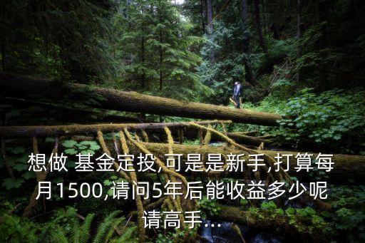 想做 基金定投,可是是新手,打算每月1500,請問5年后能收益多少呢請高手...