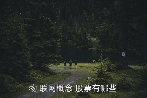 物 聯(lián)網(wǎng)概念 股票有哪些