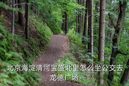  北京海淀清河寶盛北里怎么坐公交去龍德廣場(chǎng)