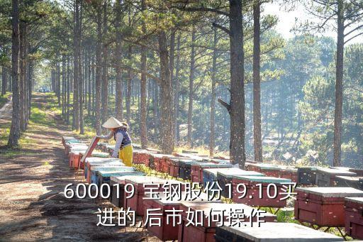 600019 寶鋼股份19.10買進(jìn)的,后市如何操作