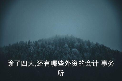 除了四大,還有哪些外資的會(huì)計(jì) 事務(wù)所