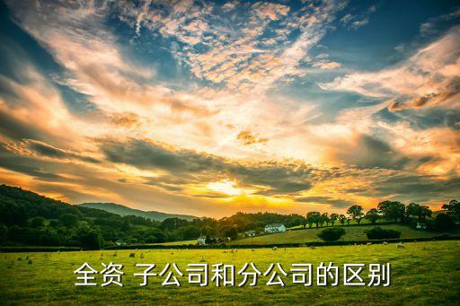  全資 子公司和分公司的區(qū)別