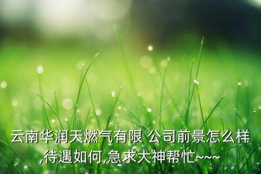 哪家天然氣公司發(fā)展好,廣州天然氣是哪家公司提供的