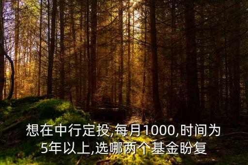 想在中行定投,每月1000,時間為5年以上,選哪兩個基金盼復(fù)