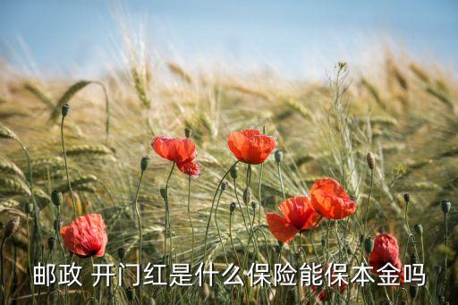 郵政 開(kāi)門(mén)紅是什么保險(xiǎn)能保本金嗎