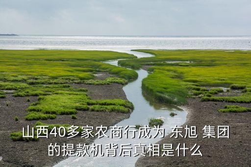 山西40多家農商行成為 東旭 集團的提款機背后真相是什么