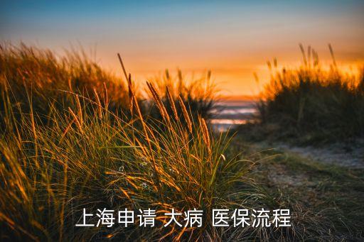  上海申請 大病 醫(yī)保流程