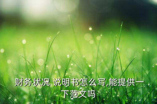 集團財務(wù)情況說明書,2021年財務(wù)情況說明書