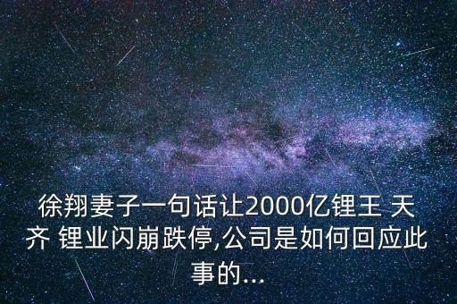 徐翔妻子一句話讓2000億鋰王 天齊 鋰業(yè)閃崩跌停,公司是如何回應(yīng)此事的...