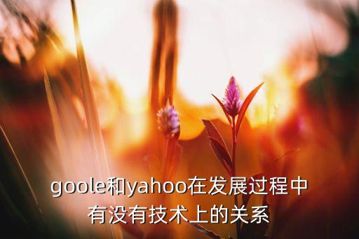 goole和yahoo在發(fā)展過程中有沒有技術(shù)上的關(guān)系