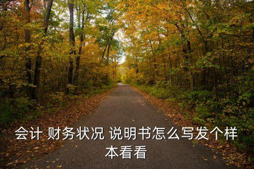 會計 財務(wù)狀況 說明書怎么寫發(fā)個樣本看看