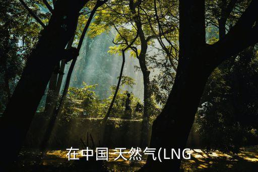 在中國(guó) 天然氣(LNG