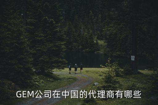 GEM公司在中國的代理商有哪些