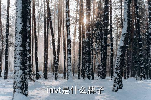 invt是什么牌子