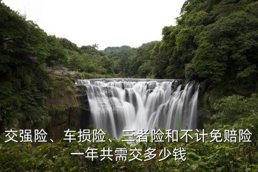 交強險、車損險、三者險和不計免賠險一年共需交多少錢