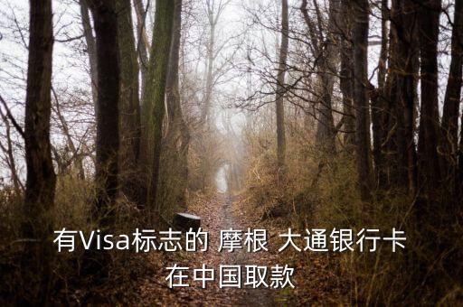 有Visa標(biāo)志的 摩根 大通銀行卡在中國取款