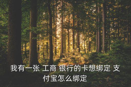 我有一張 工商 銀行的卡想綁定 支付寶怎么綁定