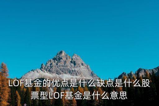 LOF基金的優(yōu)點(diǎn)是什么缺點(diǎn)是什么股票型LOF基金是什么意思