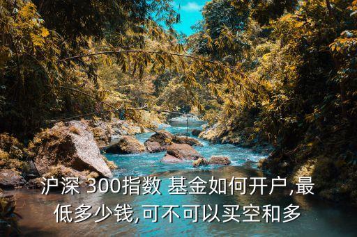 滬深 300指數(shù) 基金如何開(kāi)戶,最低多少錢,可不可以買空和多