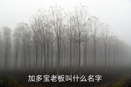 加多寶老板叫什么名字