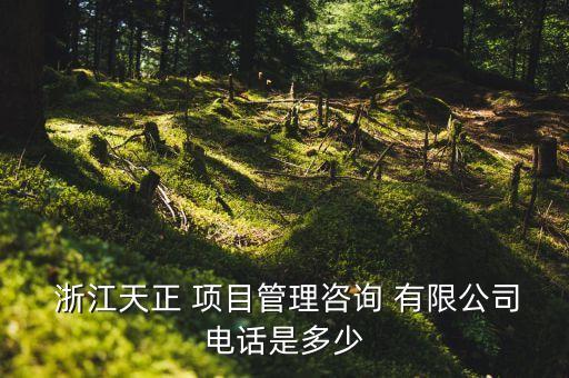 浙江天成項(xiàng)目管理有限公司怎么樣