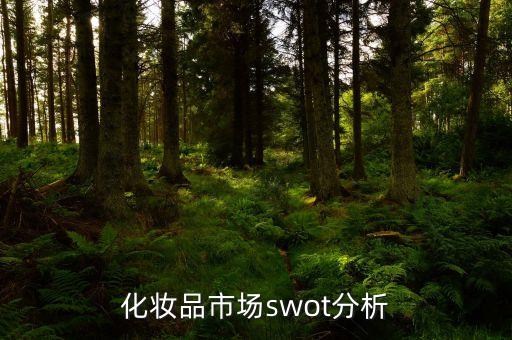 化妝品市場swot分析