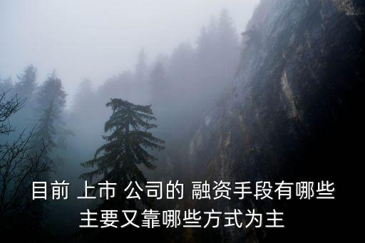 目前 上市 公司的 融資手段有哪些主要又靠哪些方式為主