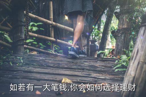 如若有一大筆錢(qián),你會(huì)如何選擇理財(cái)