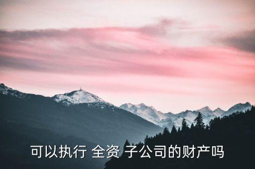 可以執(zhí)行 全資 子公司的財(cái)產(chǎn)嗎