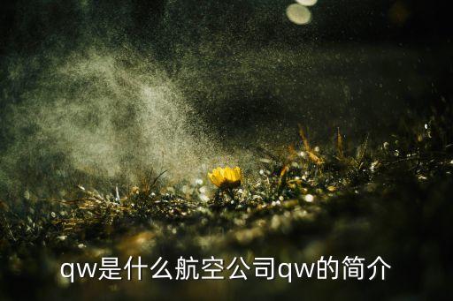 qw是什么航空公司qw的簡介