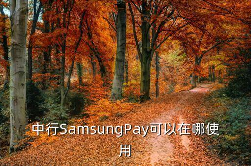 中行SamsungPay可以在哪使用