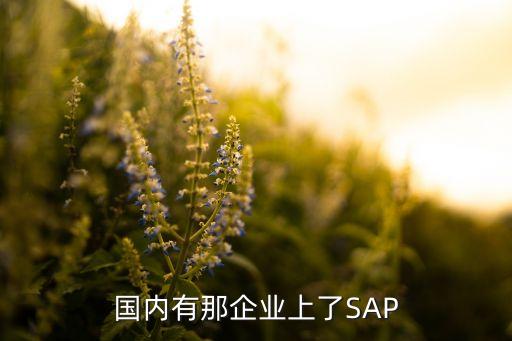 國(guó)內(nèi)有那企業(yè)上了SAP