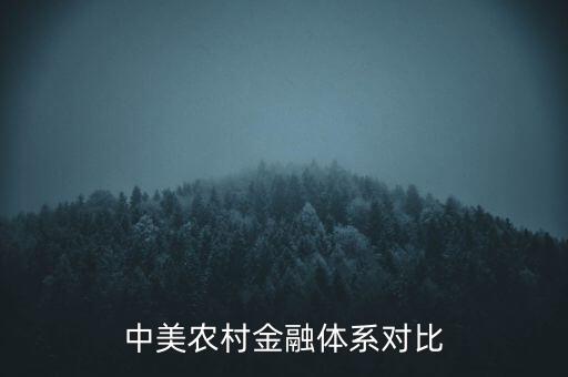 中美農(nóng)村金融體系對比