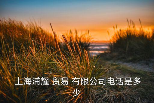  上海浦耀 貿(mào)易 有限公司電話(huà)是多少