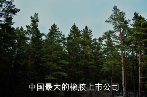 廣州天賜高新材料股份有限公司怎么樣