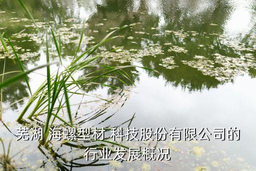 北京海螺科技,海螺科技有限公司