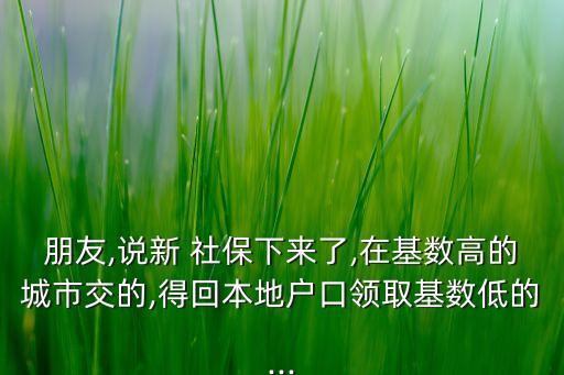 社?；鹁尢?深圳社保基金管理局