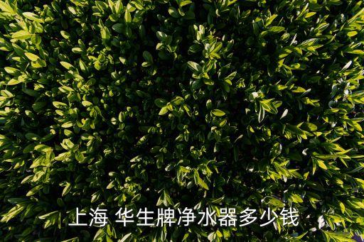  上海 華生牌凈水器多少錢