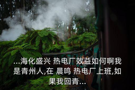 ...?；⑴d 熱電廠效益如何啊我是青州人,在 晨鳴 熱電廠上班,如果我回青...