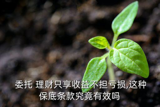  委托 理財只享收益不擔(dān)虧損,這種保底條款究竟有效嗎