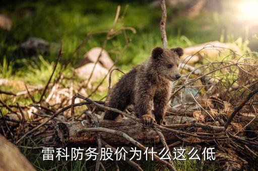 雷科防務(wù)股價為什么這么低