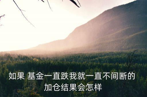 如果 基金一直跌我就一直不間斷的 加倉(cāng)結(jié)果會(huì)怎樣