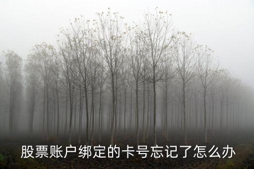  股票賬戶綁定的卡號(hào)忘記了怎么辦