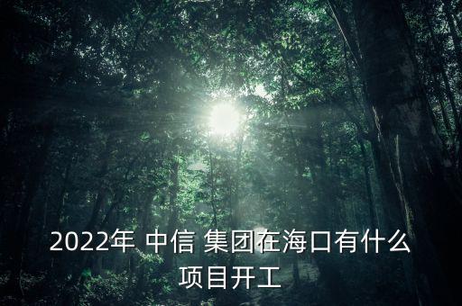 2022年 中信 集團在?？谟惺裁错椖块_工